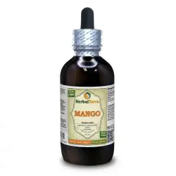 Amber, (Succinum) Dried Amber Resin Liquid Extract