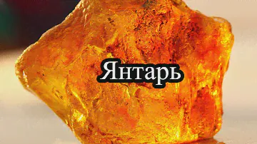 Янтарь\Amber