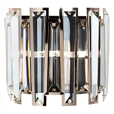Накладной светильник Arte Lamp A1028AP-2BK Amber