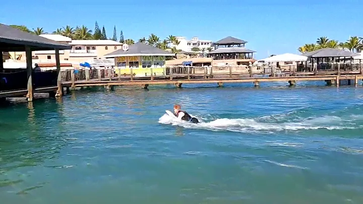 Ocean World Carnival Celebration Vip Dolphin Swim Amber Cove