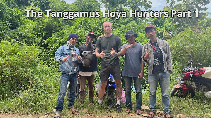 The Tanggamus Hoya Hunters Part 1