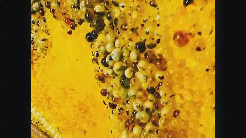 Mona Lisa.Amber.