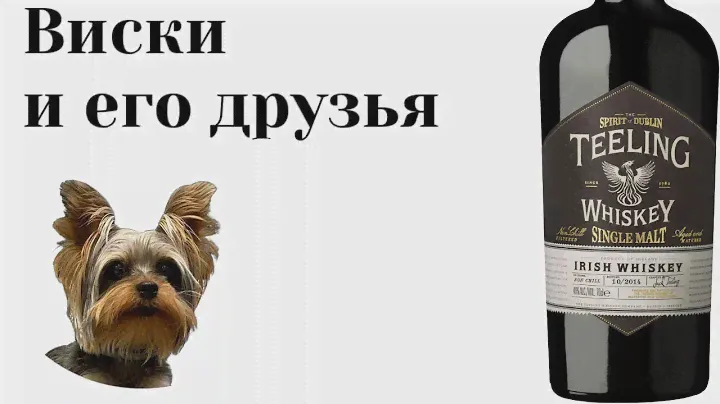 Дегустация Teeling Single Malt