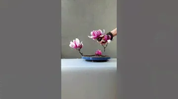 仙子着云裳，轻匀淡淡妆。#flowerarrangement #flowermaking #flowers
