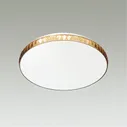 2078/EL PALE SN 073 Светильник пластик/белый/янтарный LED 72Вт 3000-6300K D500 IP43 пульт ДУ DINA AMBER Sonex 2078/EL